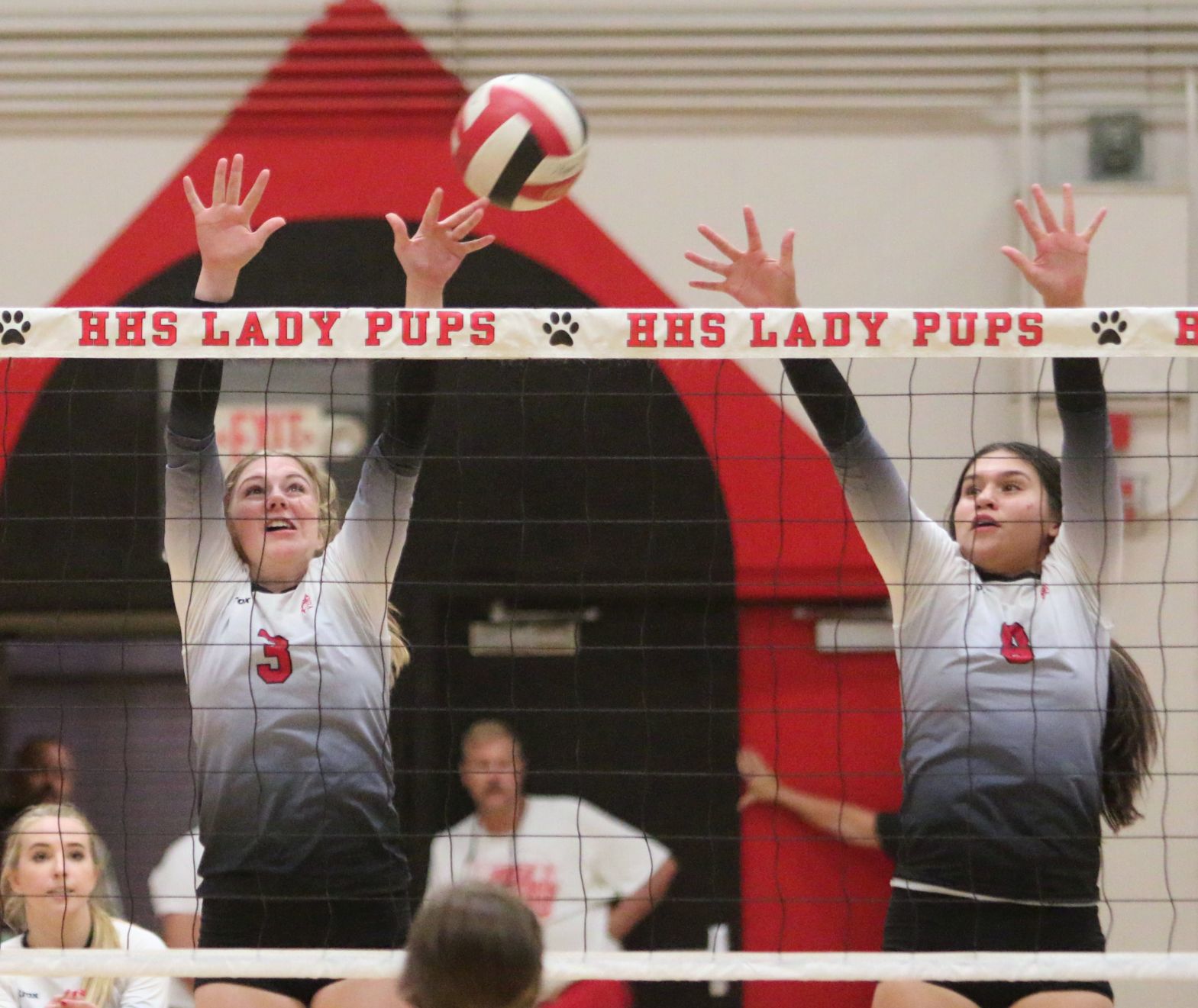 Golden Bears open season with victory over Bullpups